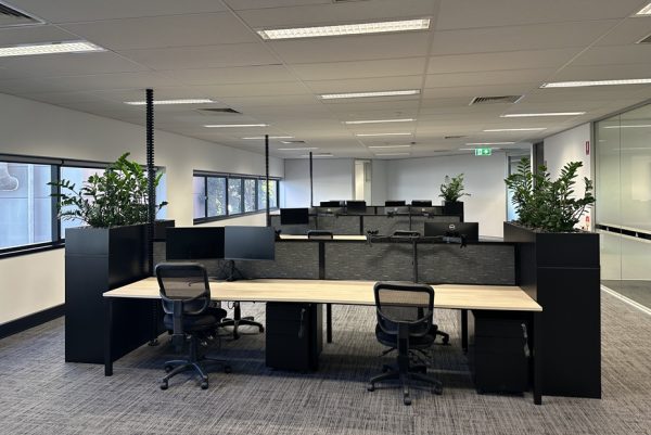 23 Graham Street 03