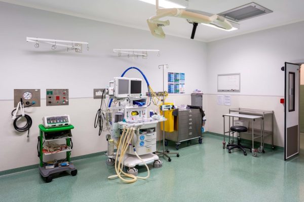 SkyMonkey02404 edited v2