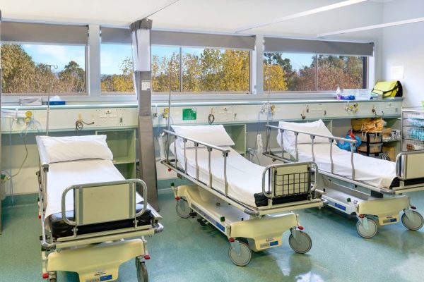 SkyMonkey02455 edited v2