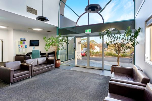 SkyMonkey02517 edited resized