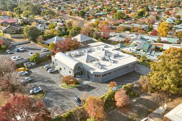 SkyMonkey_0469 edited clean grass resized